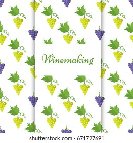 Winemaking poster with isolated grapes of purple and blue color, seamless pattern with grapes bunches and leaves around vector illustration.