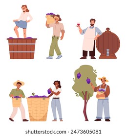 Winemaking process. The vector set depicts harvesting grapes, crushing and enjoying the finished wine. Flat illustrations for educational content. Isolated background.