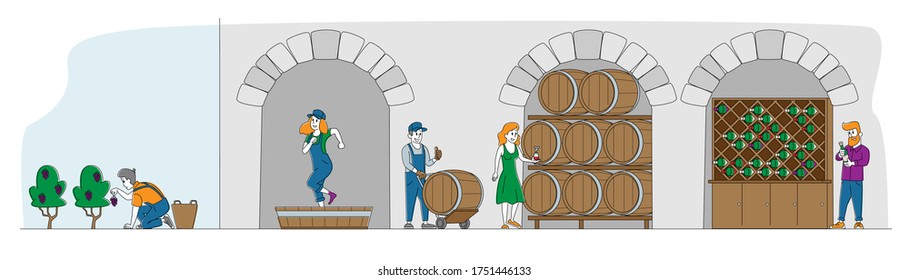 Winemaking, Wine Producing y Drinking Concept. Hombre con botella, mujer bebe vino. Crecen Los Caracteres Femeninos, Dejando A Un Lado Las Uvas Orgánicas, Produciendo Producción Natural De Vinos. Ilustración de vectores de personas lineales