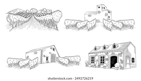 Winery, grapes, vineyard line art drawing, hand drawn vector illustration