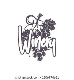 Winery logo template. Wine grape with calligraphic sign in retro monochrome style. Stock vector emblem isolated on white background.