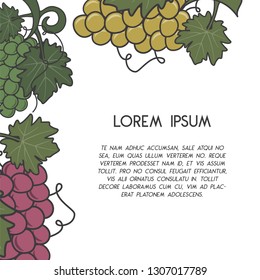 Winery poster template with wine grapes in retro style. Stock vector brochure layout with text. Isolated on white