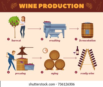 Winery production cartoon flowchart from grape harvesting to wine bottles rack infographic elements composition poster vector illustration 