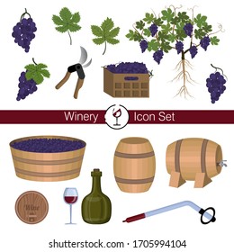 Winery, Winemaking: Equipment, Tools, Wine. Plant Grape. Vine, Leaves, Berries, Roots. Wine Industry Graphic Elements. Set Of Isolated Icon Objects On White Background. Flat Cartoon Illustration