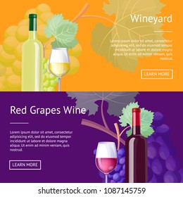 Wineyard and red grapes wine Internet banners set. Delicious exquisite red and white vino in bottles and glasses vector illustrations on web pages