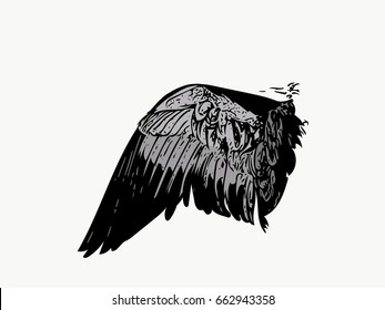 Wing