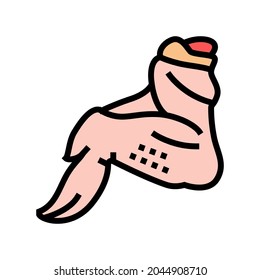 vectores de iconos de color de pollo de 3 articulaciones. signo de pollo de la sección 3. ilustración de símbolo aislado