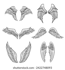 A wing is a anatomical or mechanical structure that enables an organism or object to generate lift and achieve flight. 