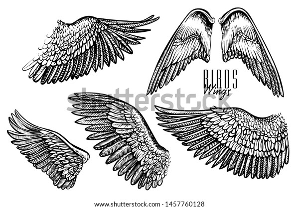 鳥や天使の翼 手描きのベクトルイラスト さまざまな翼の黒い線が刻まれたセット ロゴ エンブレム タトゥー ビンテージデザインに最適です のベクター画像素材 ロイヤリティフリー