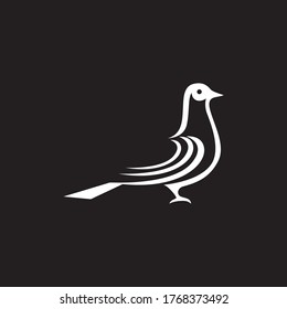 wing bird dove vector image 