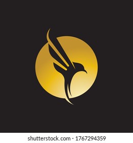 Wing bird gold falcon logo and symbol vector