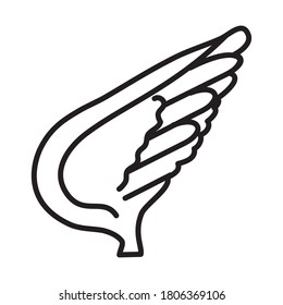 wing of bird icon over white background, line style, vector illustration