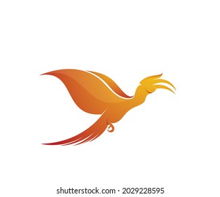 wing bird logo design template