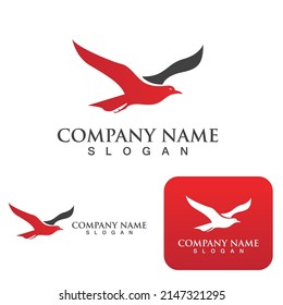 Wing bird  Logo Template vector