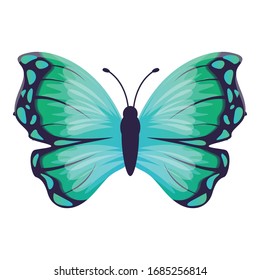 Icono de mariposa ala. Dibujo de un icono vectorial de mariposa para diseño web aislado en fondo blanco
