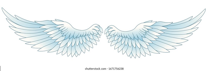 Wing cartoon drawing graphic vector