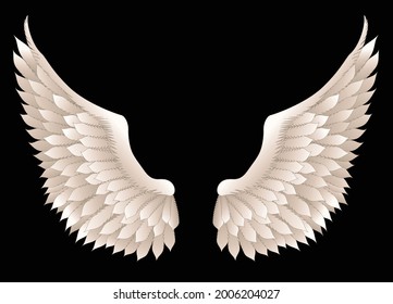 Wing cartoon drawing graphic vector