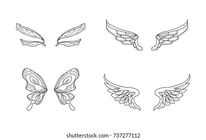 wing doodle