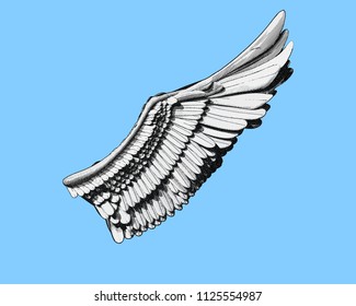 Wing engraving drawing in black and white color illustration  isolated on light blue background 