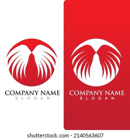 Wing falcon bird  Logo Template vector