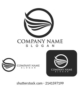 Wing falcon bird  Logo Template vector