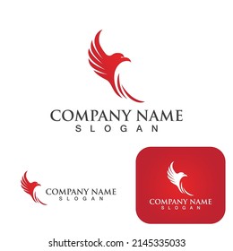 Wing falcon bird  Logo Template vector