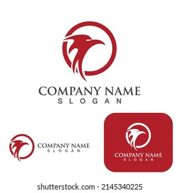 Wing falcon bird  Logo Template vector