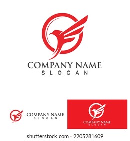 Wing falcon bird  Logo Template vector