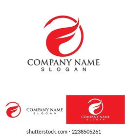 Wing falcon bird  Logo Template vector