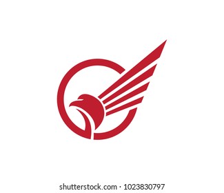 Wing Falcon Logo Template vector illustration design