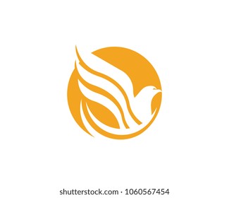 Wing Falcon Logo Template vector illustration design