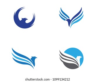 Wing Falcon Logo Template vector illustration design