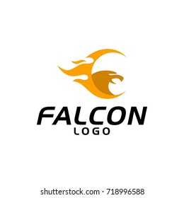 Wing Falcon Logo vector illustration design