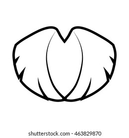 Wing feather white decoration icon. Isolated and flat illustration. Vector graphic