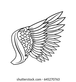 wing feathers bird freedom fly image