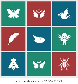 Wing icon. collection of 9 wing filled icons such as butterfly, wings, love bird, chicken, beetle, feather, bee. editable wing icons for web and mobile.