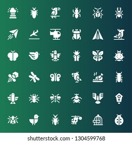 wing icon set. Collection of 36 filled wing icons included Ladybird, Freedom, Helicopter, Insect, Seagull, Fly, Aviary, Dove, Beetle, Wasp, Eagle, Roast chicken, Parrot, Butterfly