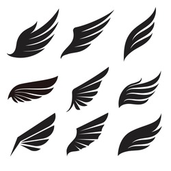 Wing Icons Flat Silhouette Hand Drawn Sketch