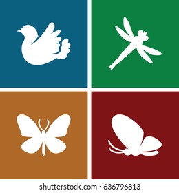 Wing icons set. set of 4 filled icons such as butterfly, bird