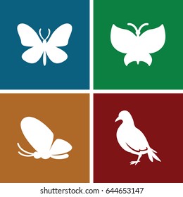 Wing icons set. set of 4 wing filled icons such as dove
