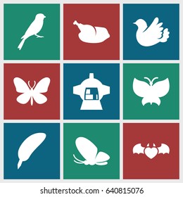 Wing icons set. set of 9 wing filled icons such as butterfly, sparrow, luggage compartment in airplane, devil heart with wings, bird, chicken