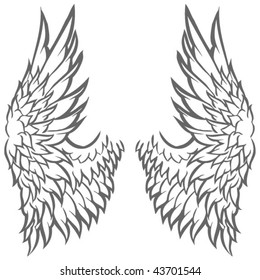 Wing Illustration