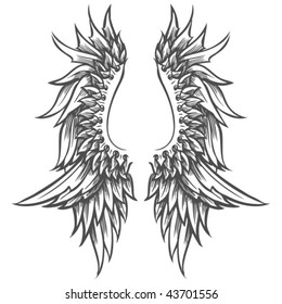 Wing Illustration