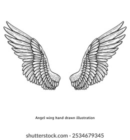Wing illustration. Wing hand drawn illustration in vintage engraving style. Angel wing illustration
