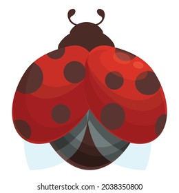 Wing ladybird icon cartoon vector. Ladubug beetle. Bug insect