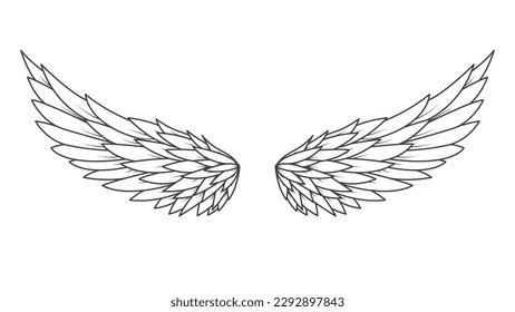 wing line art illustration. Vector design