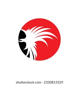 Wing Logo Design, Vector Eagle Falcon Wings, Beauty Flying Bird, Illustration Symbol