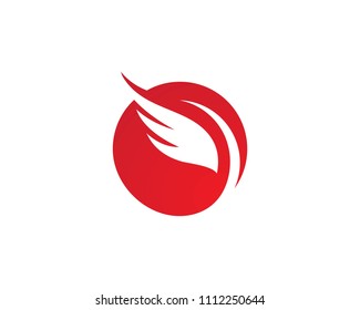 Wing Logo Template vector icon design