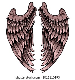 Wing of seraphim. Detailed hand drawn pair of wings with lights and shadows vector illustration.