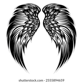 Wing vector, wing angle, black and white, hawk wings, eagle wing, bird wing, feather, isolated background